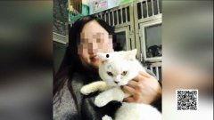 娱乐吃瓜酱小猫坐公交车,小猫公交之旅，萌翻众生