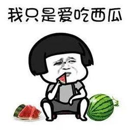 娱乐圈吃瓜入口是什么,揭秘网络八卦文化的聚集地