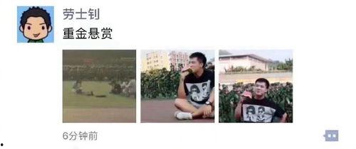 娱乐搞笑吃瓜图片大全集