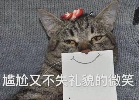 娱乐吃瓜君与猫