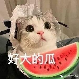 娱乐吃瓜酱黏人的女朋友,娱乐吃瓜酱的甜蜜日常