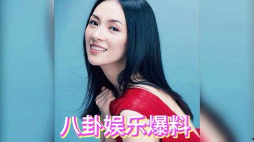 娱乐圈八卦吃瓜主播小说,吃瓜主播的八卦传奇