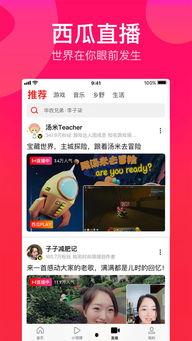 娱乐吃瓜酱视频模板免费,一场惊心动魄的“吃瓜”盛宴