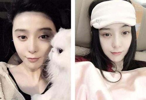 娱乐圈吃瓜女博主小说,吃瓜女博主的秘密日记