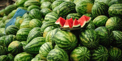 西瓜娱乐吃瓜,揭秘娱乐圈吃瓜群众的狂欢盛宴