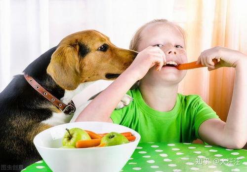 娱乐吃瓜菌狗狗视频,萌宠视频里的欢乐时光